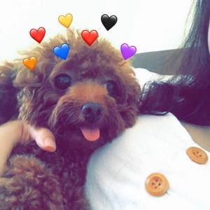 Meet your Posher, Ngoc